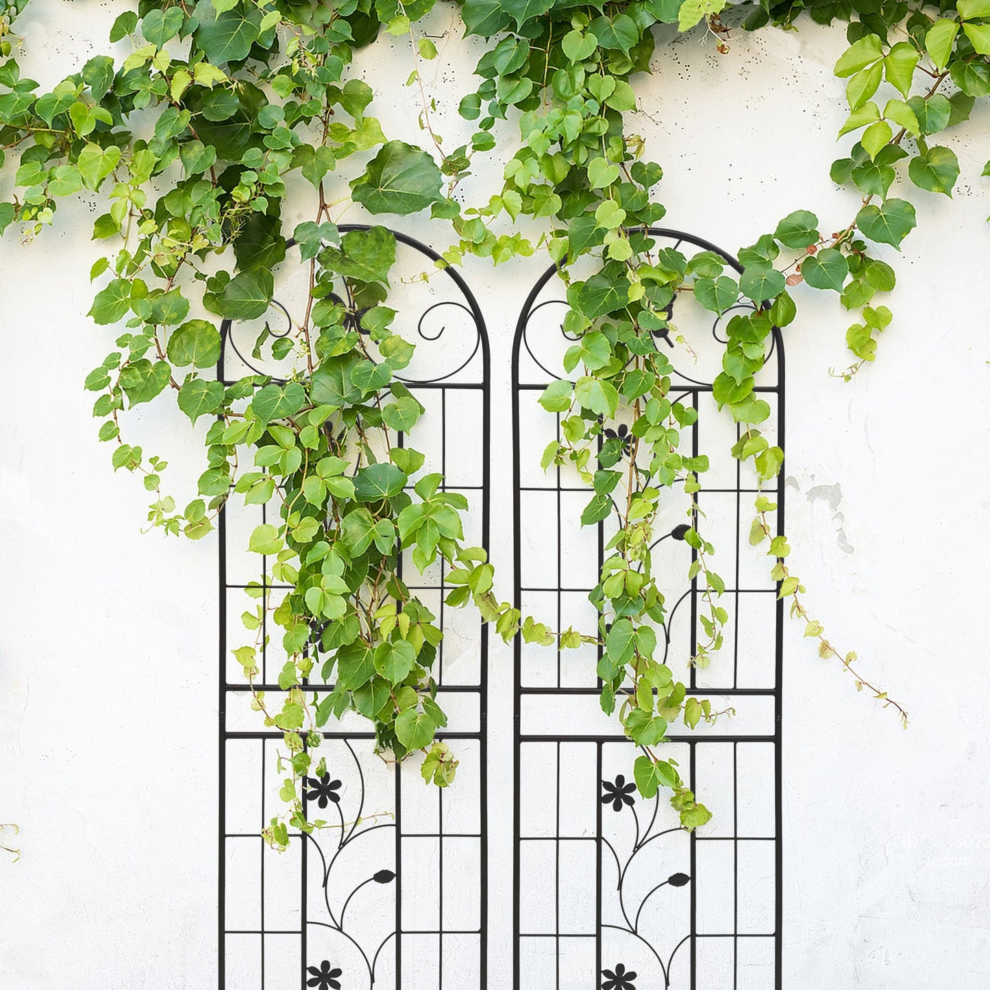 2 Pack Metal Garden Trellis 71' x 19.7' Rustproof Trellis for Climbing Plants Outdoor Flower Support Black