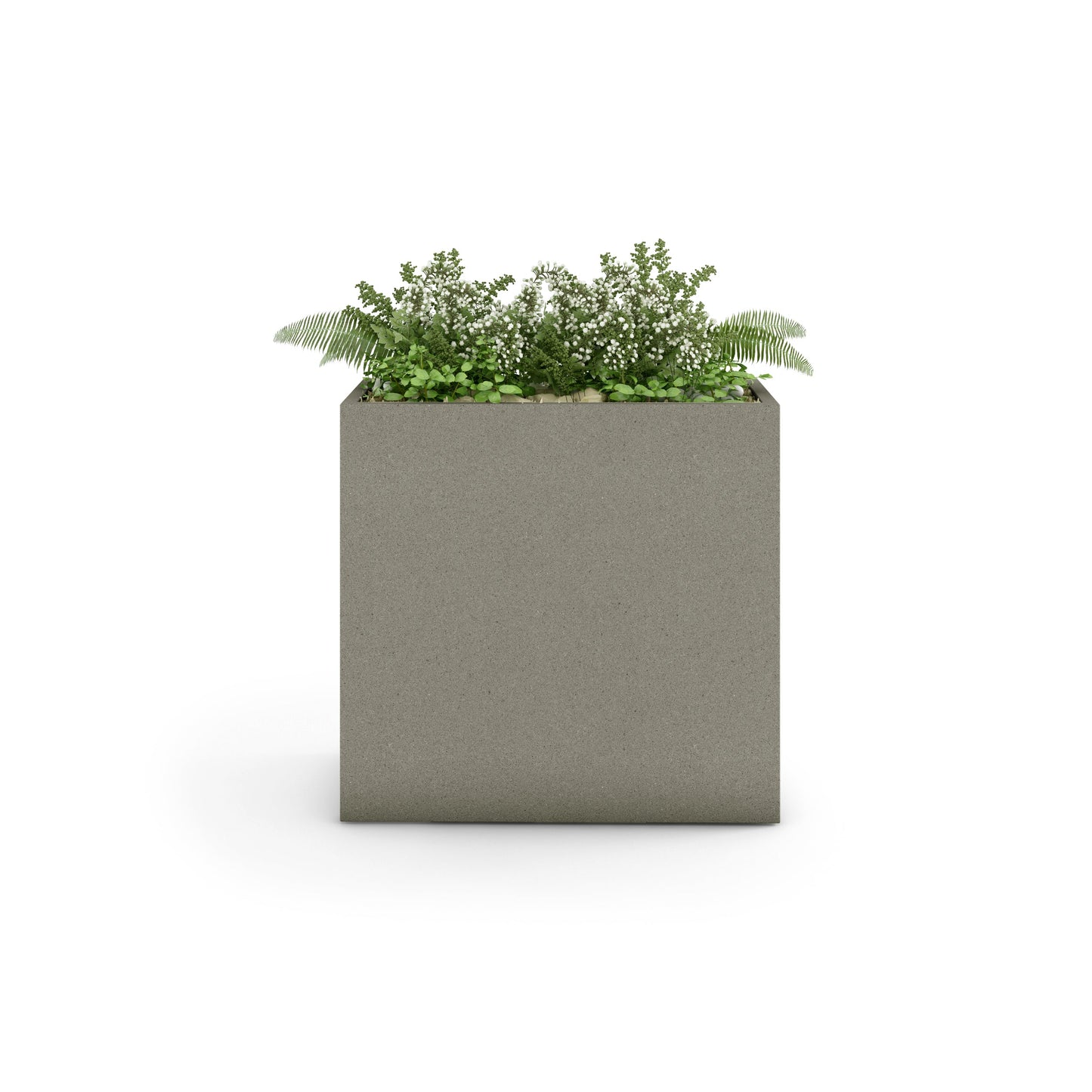 Home & Living: by