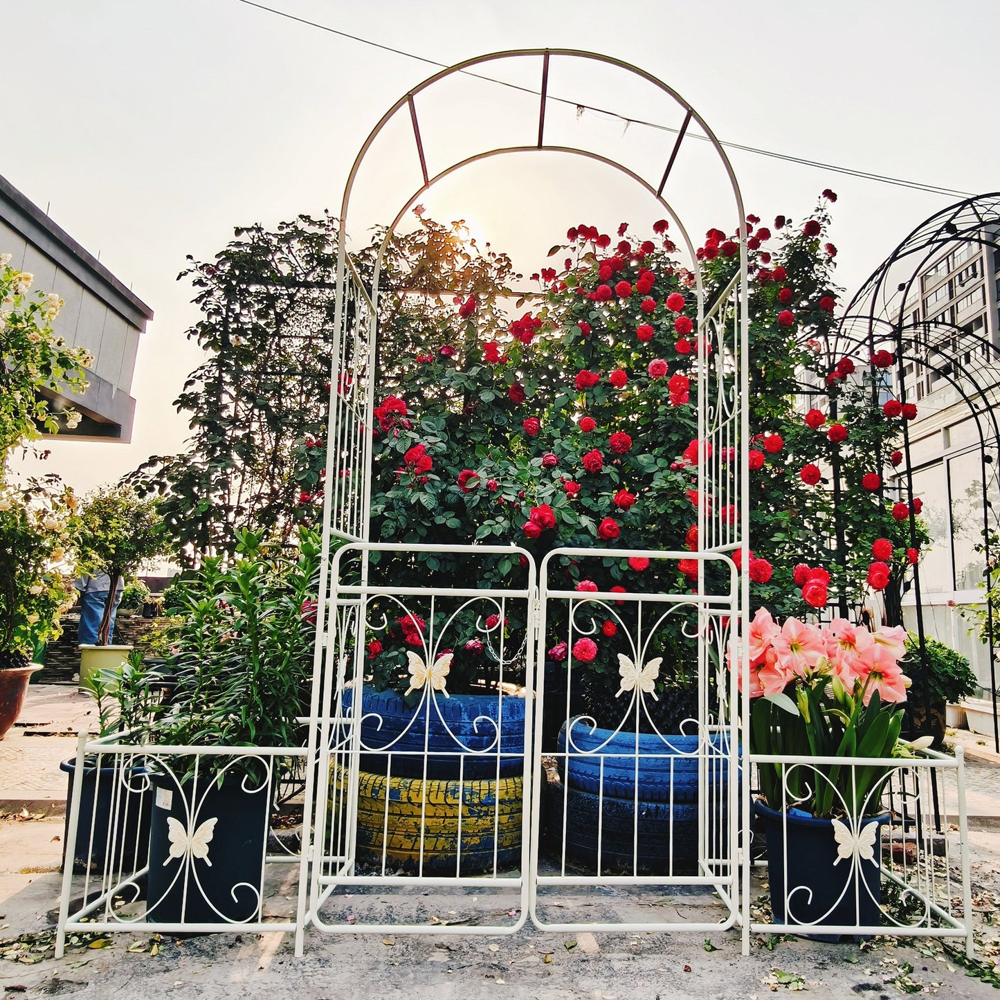 Metal Garden Arch with Gate 79.5'' Wide x 86.6'' High Climbing Plants Support Rose Arch Outdoor Cream White