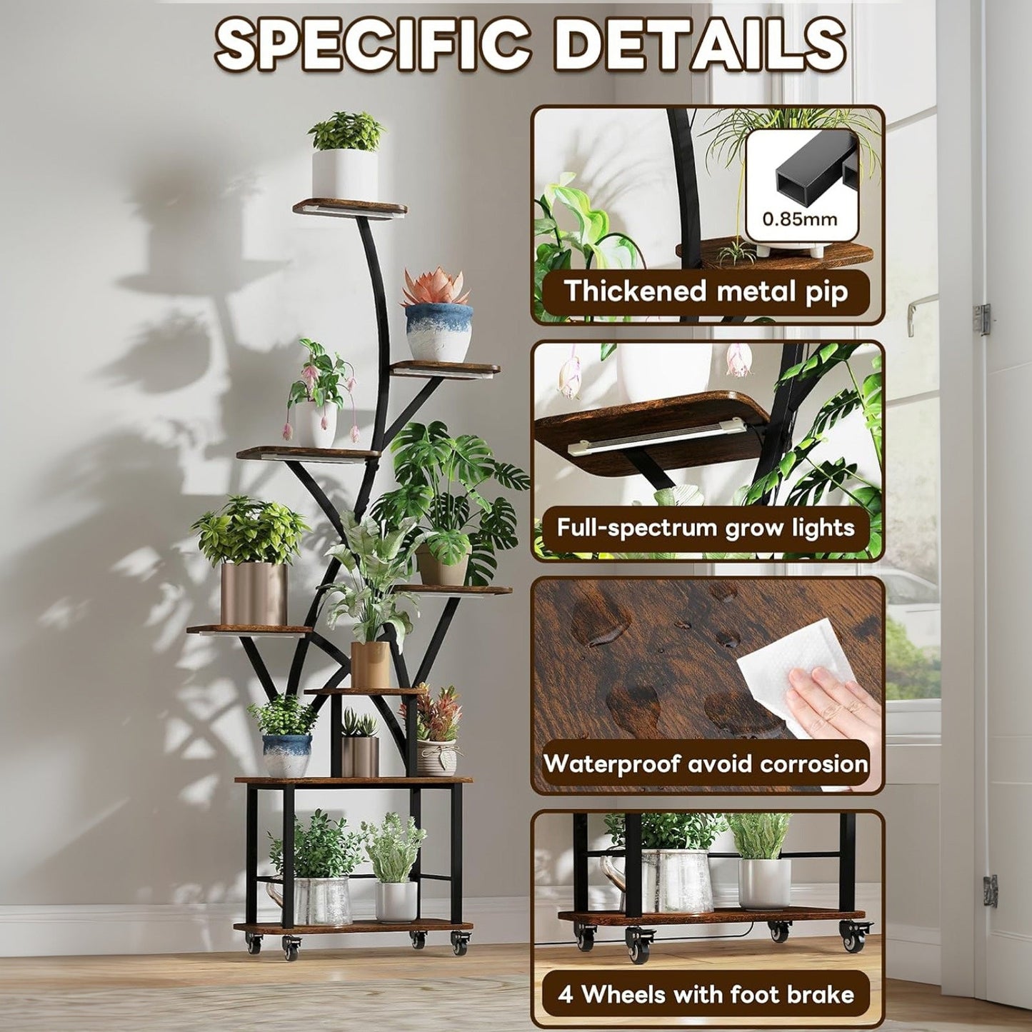 Home & Living: by