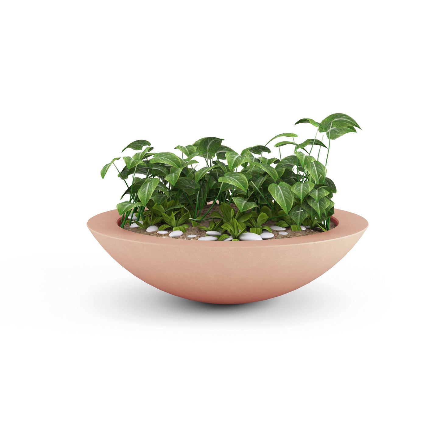 Home & Living: by