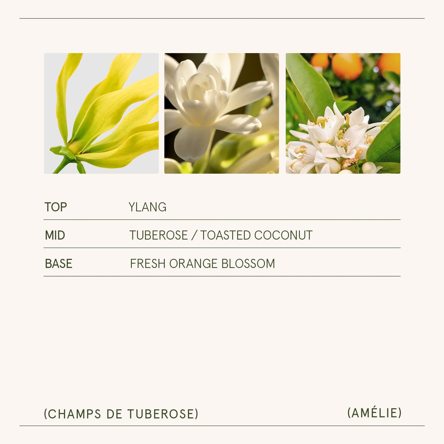 Amélie – Champs de Tuberose Candle