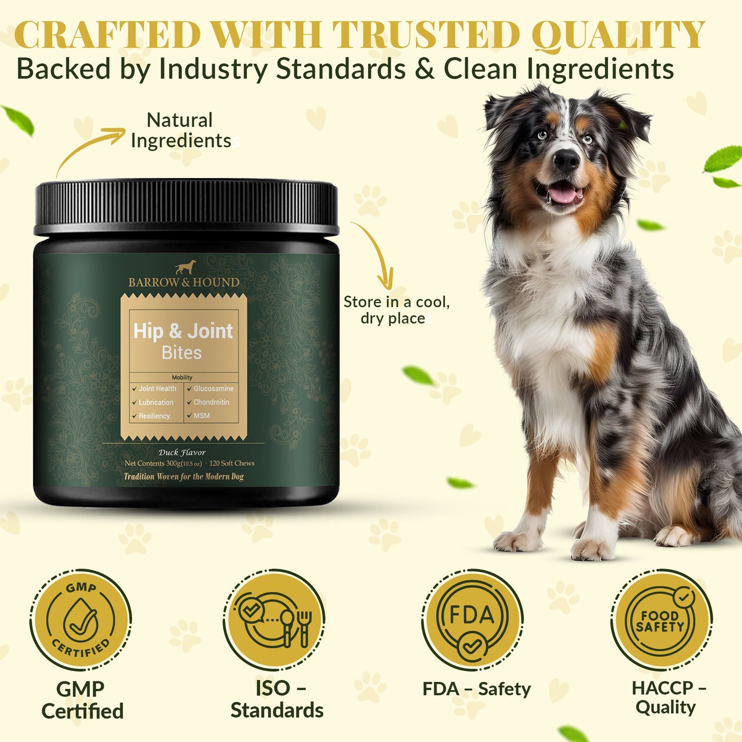 Hip & Joint Supplement for Dogs – Mobility Support for All Breeds