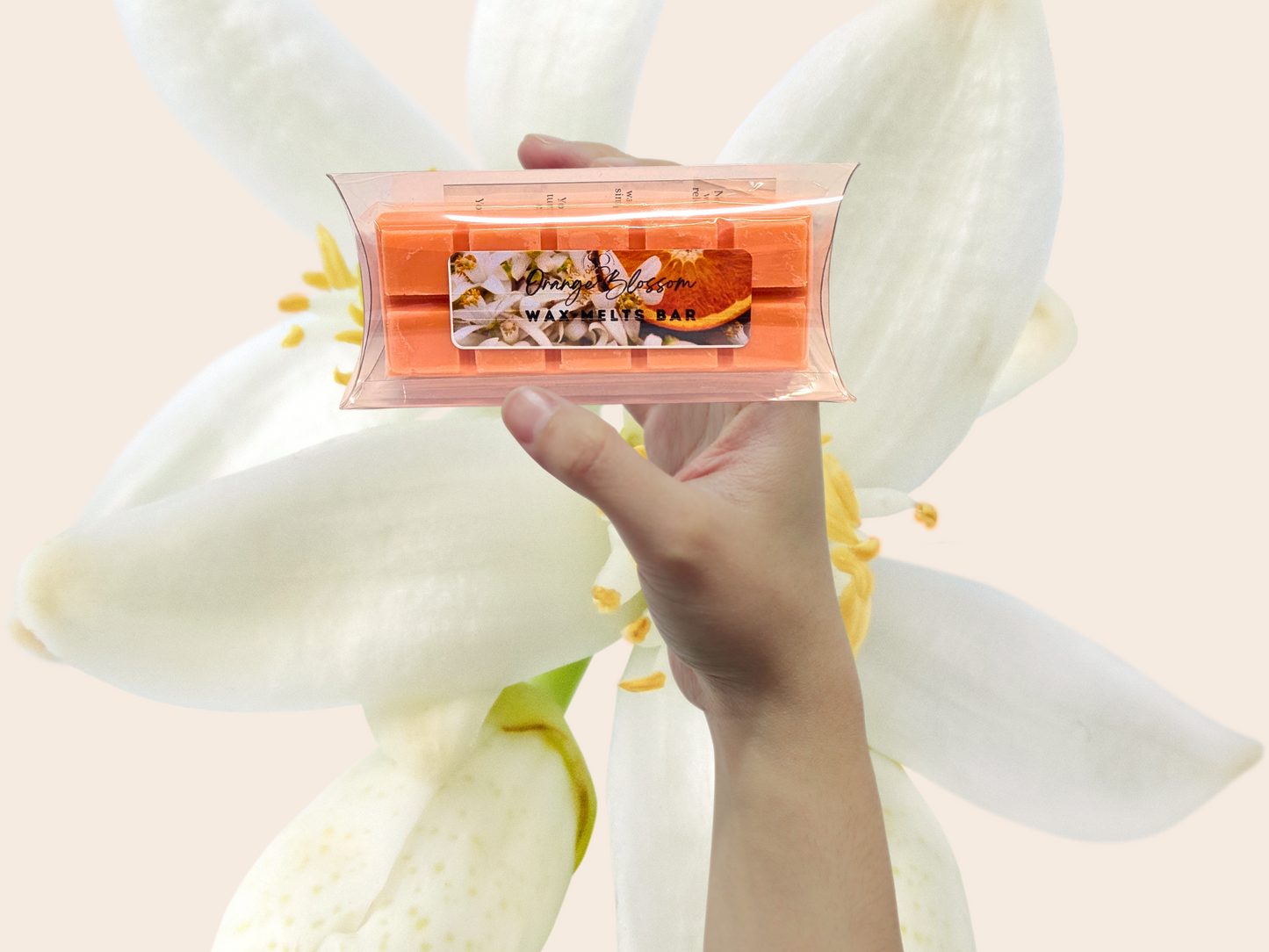 Best-Selling scents - Wax Melts Bar - Signature Collection