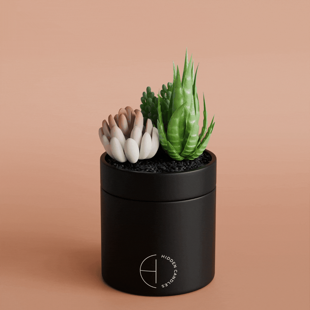 Home & Living:  by