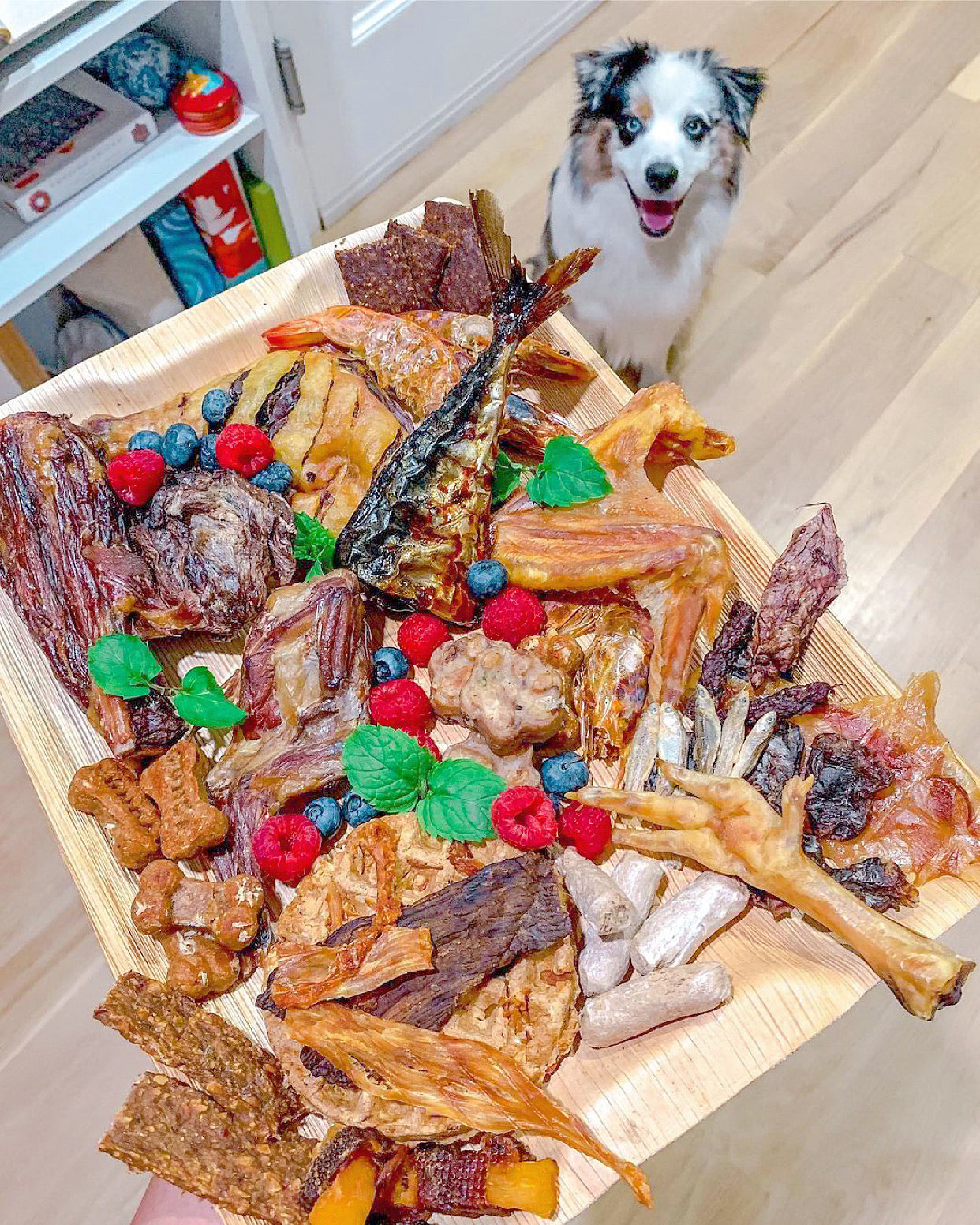 Lamb Shank (GFF & Pasture Raised)