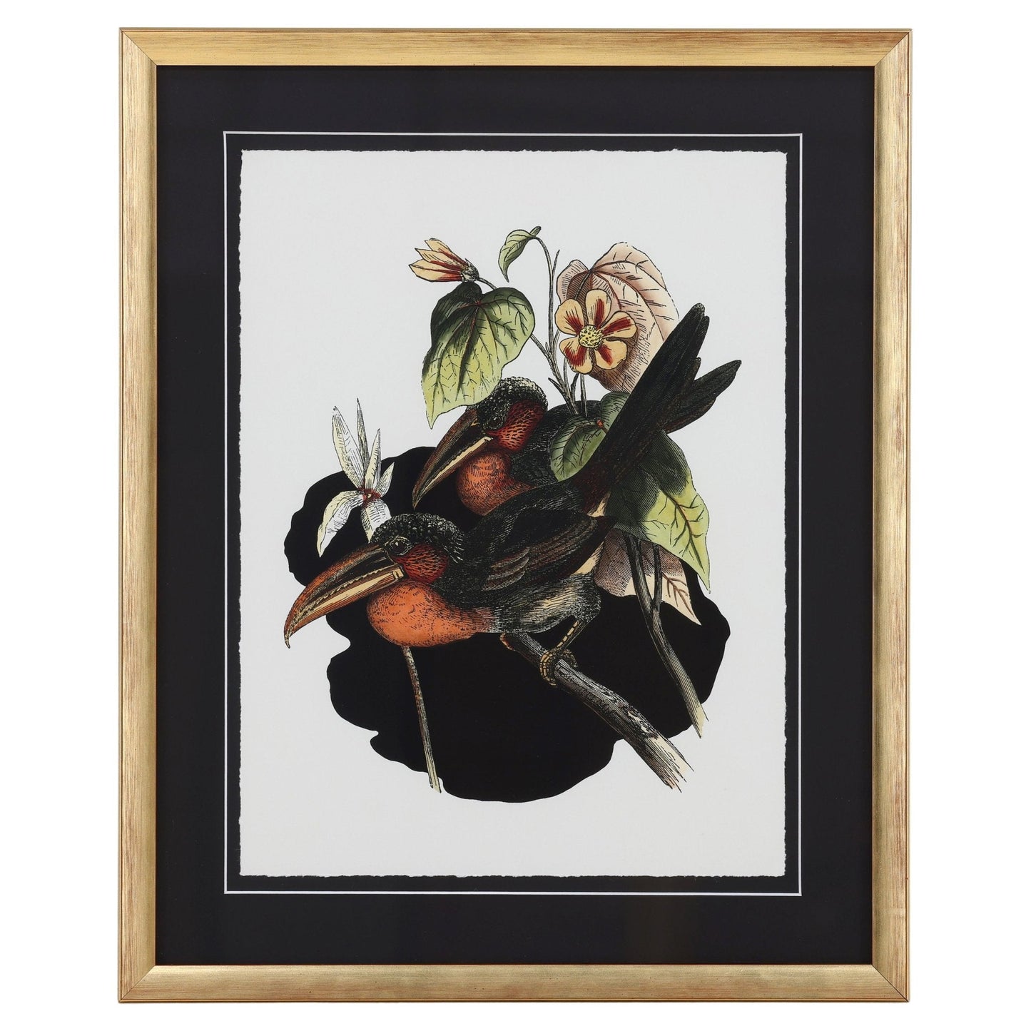 Vintage Toucan I Artwork