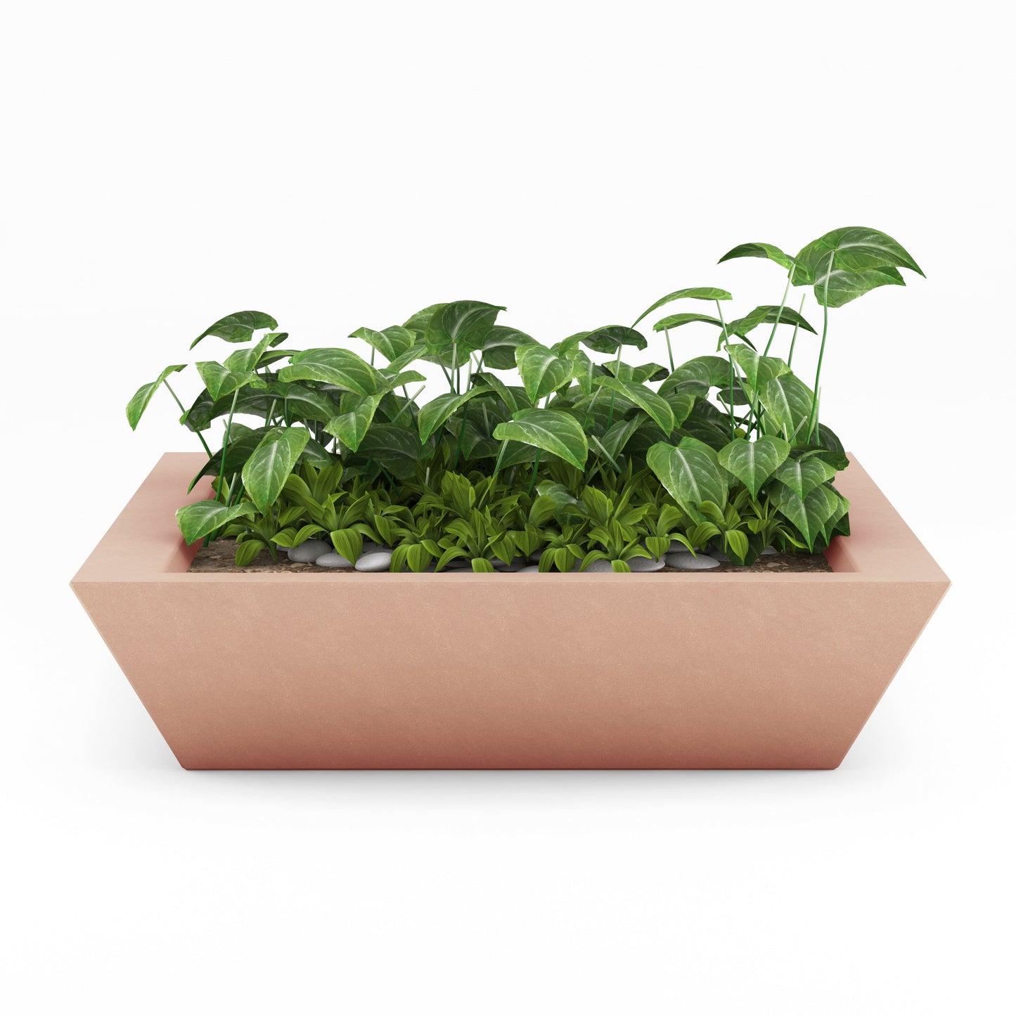 Home & Living:  by