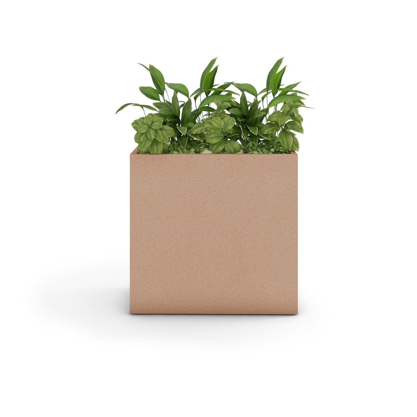 Home & Living:  by