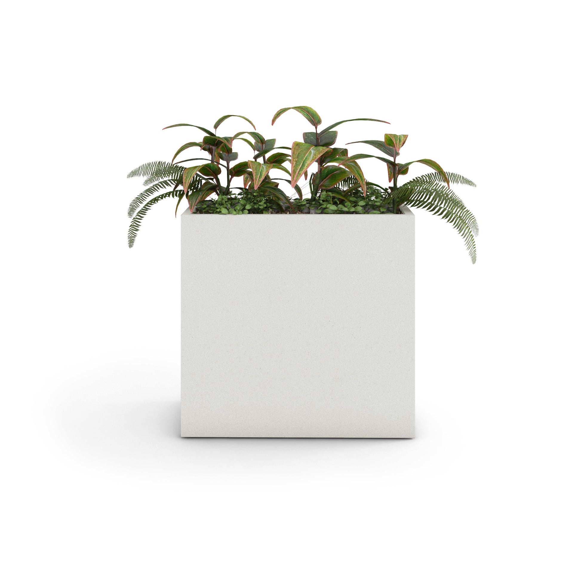 Home & Living:  by