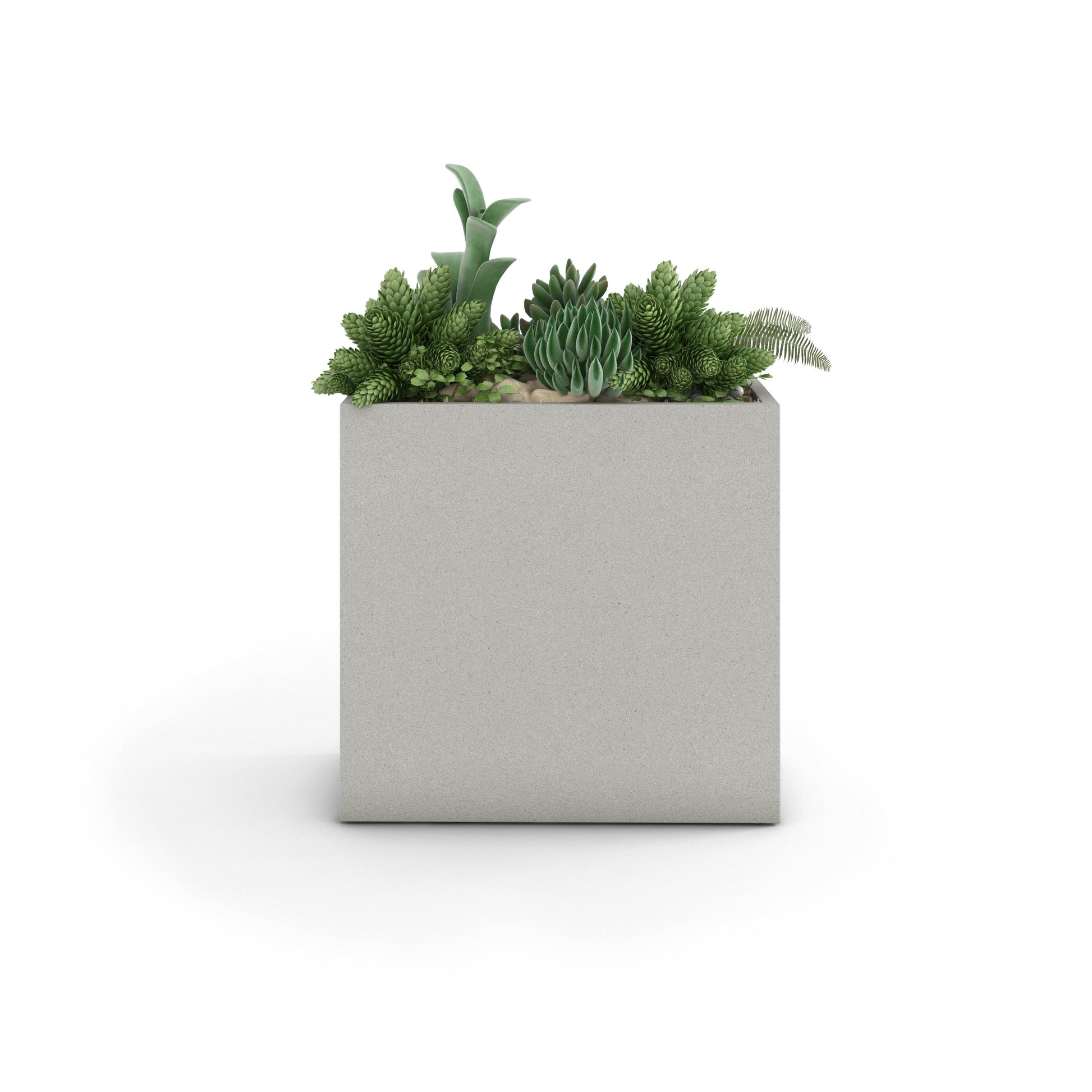 Home & Living:  by