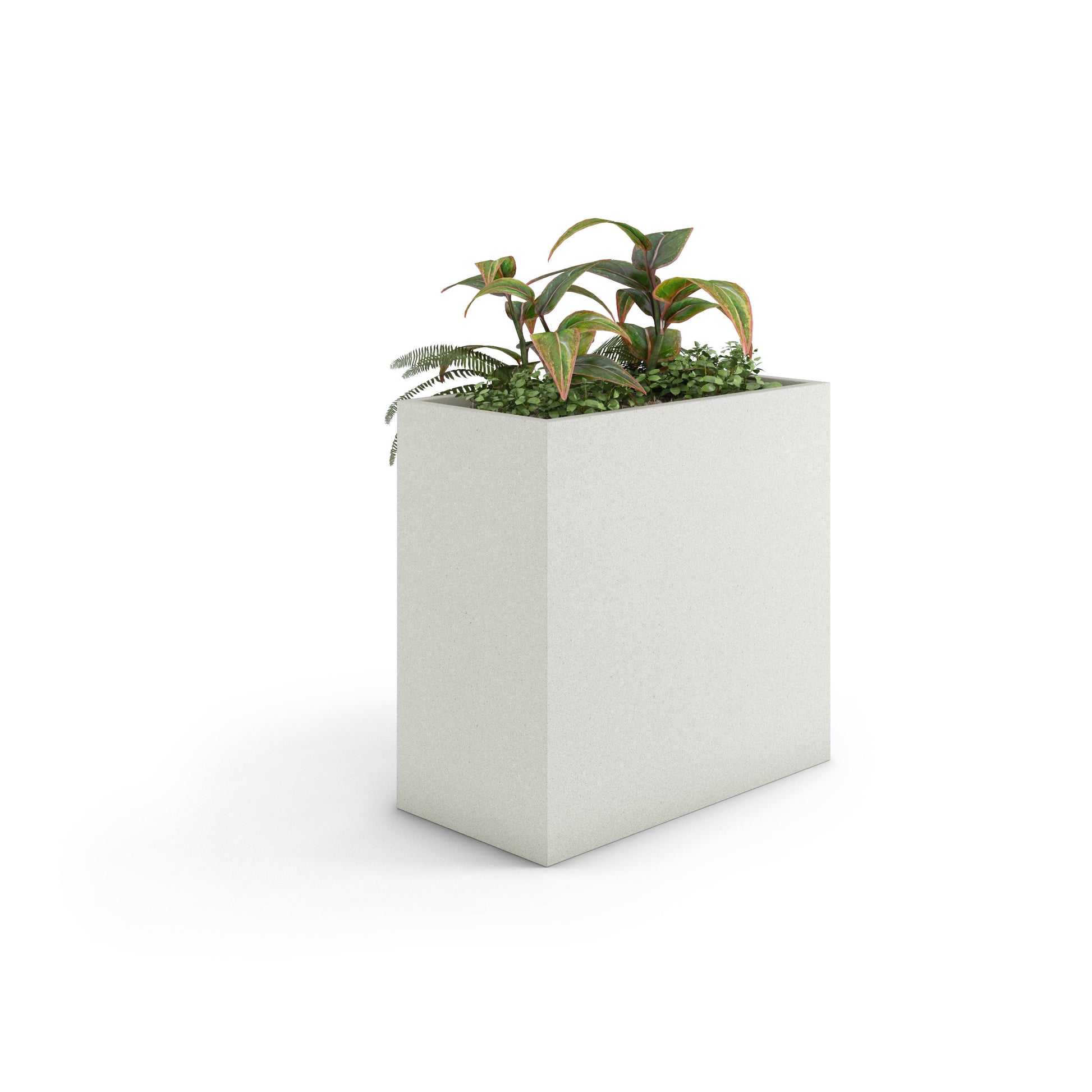Home & Living:  by
