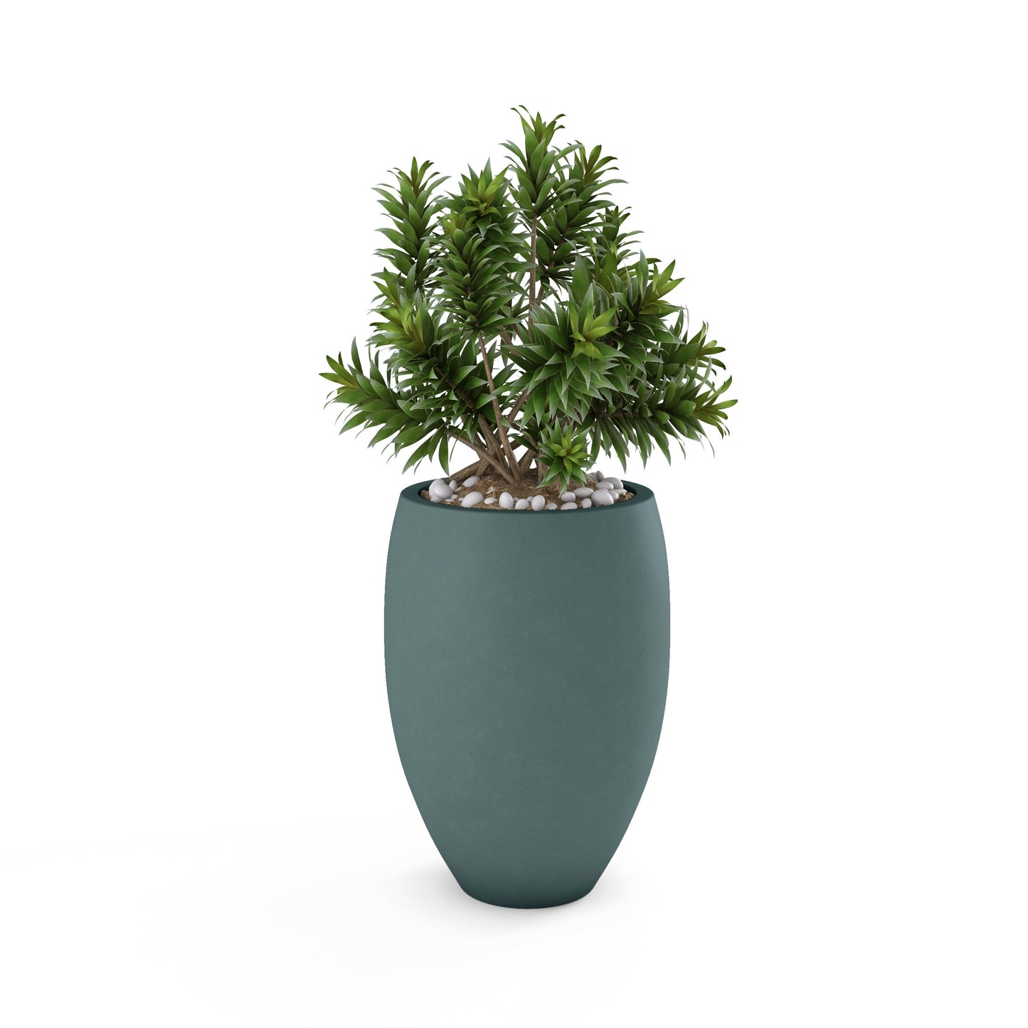 Home & Living:  by