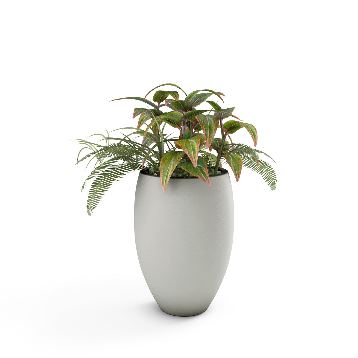 Home & Living:  by