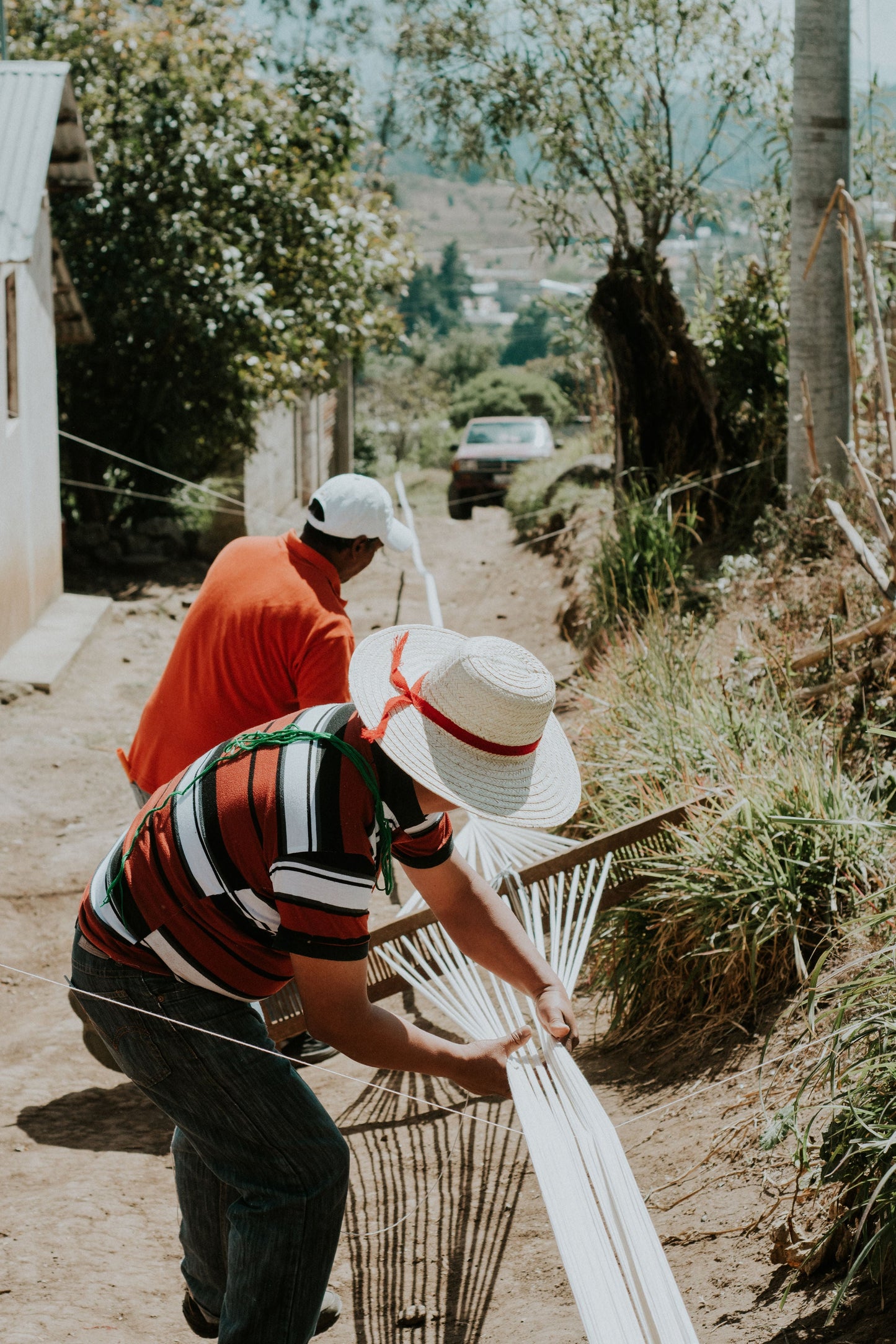 Palm Ikat Blanket in Blue & Pink