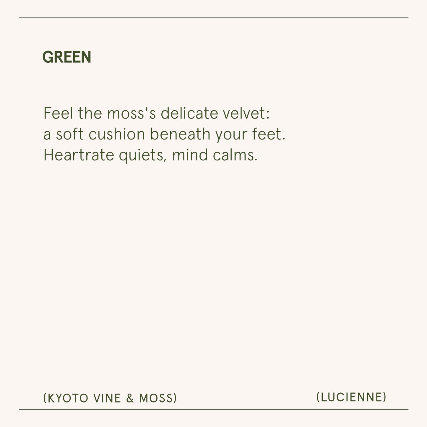 Lucienne - Kyoto Vine & Moss Candle