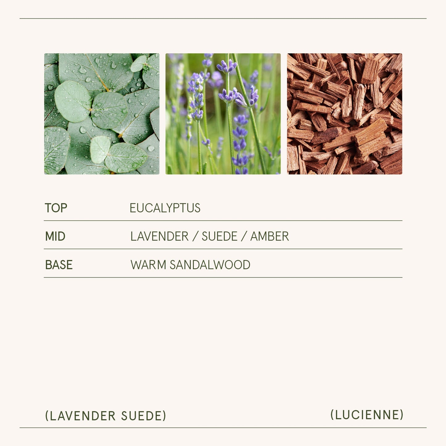 Lucienne - Lavender Suede Candle