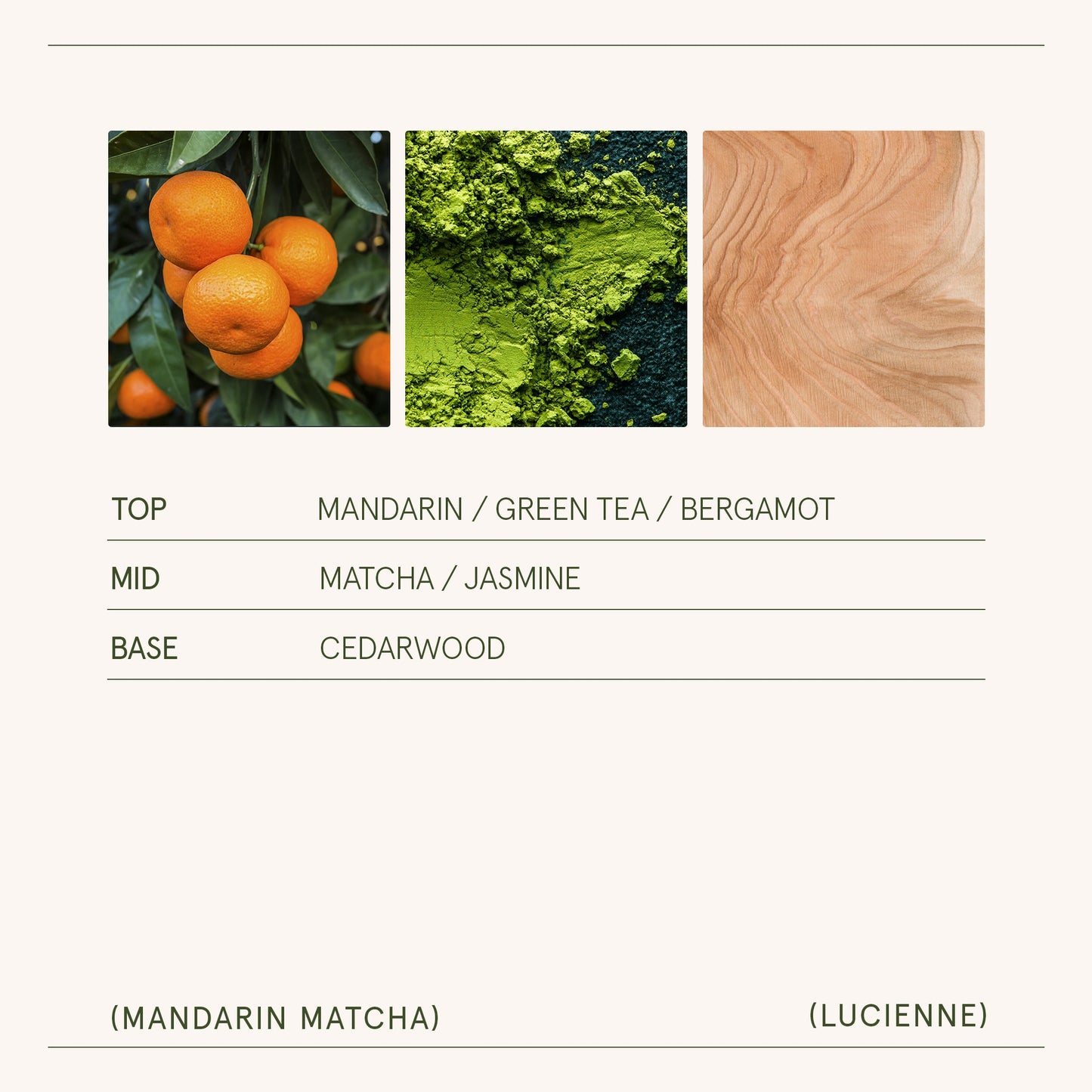 Lucienne - Mandarin Matcha Candle