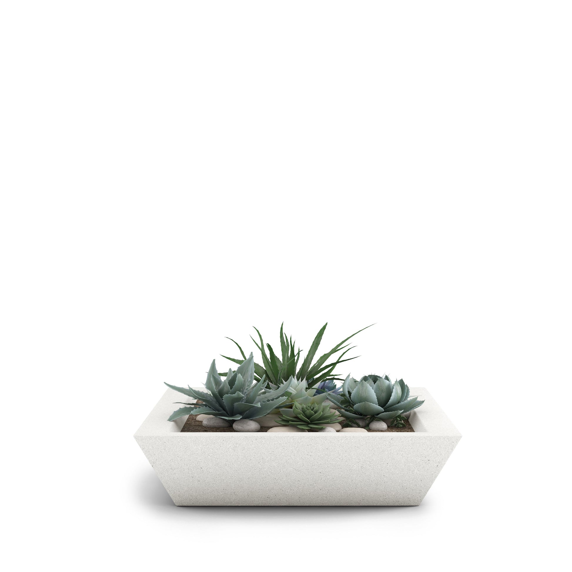Home & Living:  by