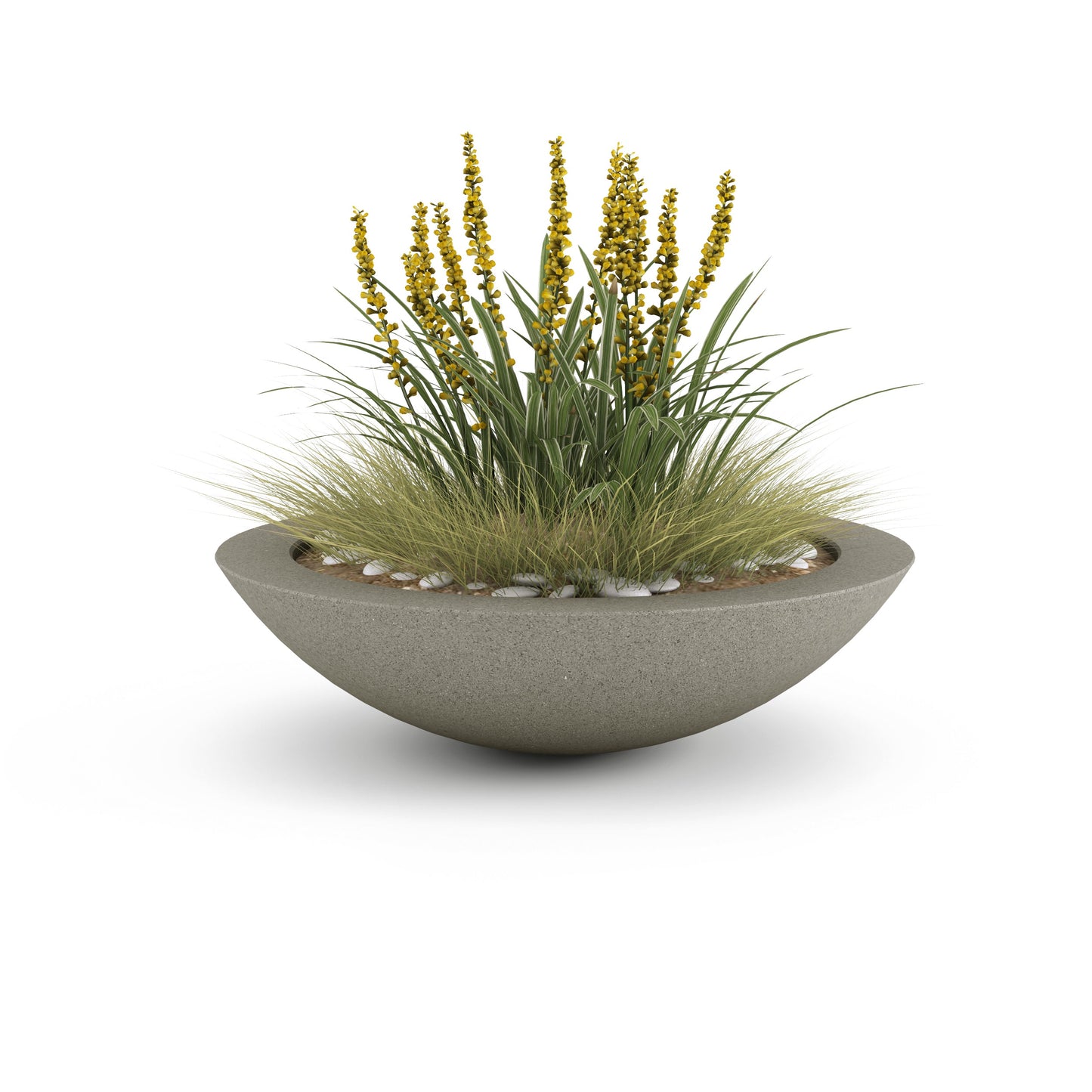 Home & Living:  by