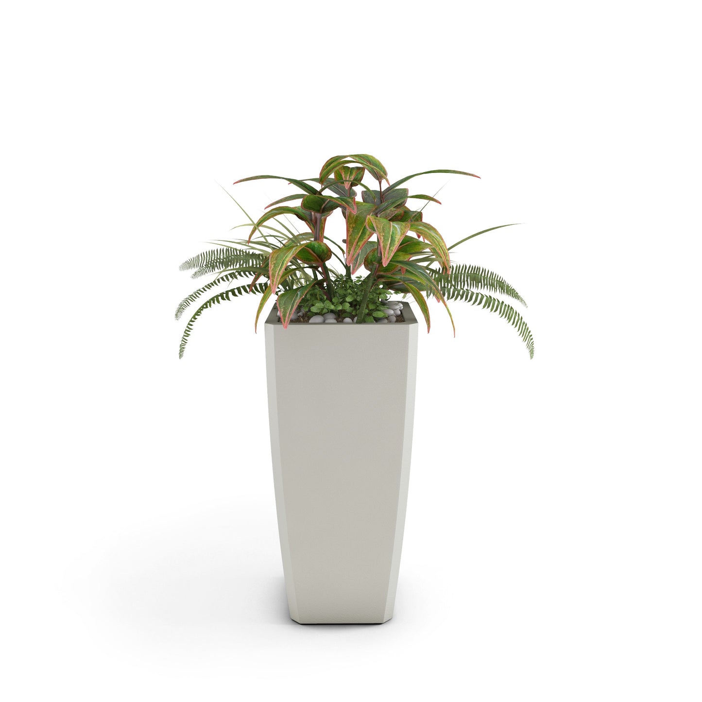 Home & Living:  by