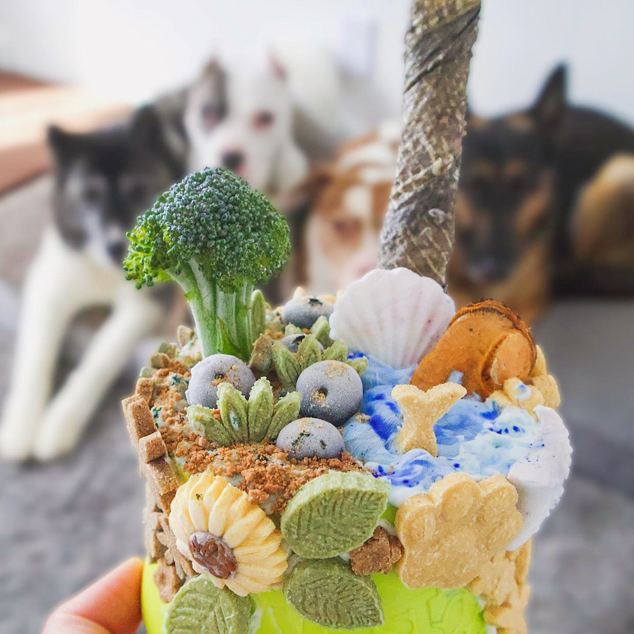 Green Lipped Mussels